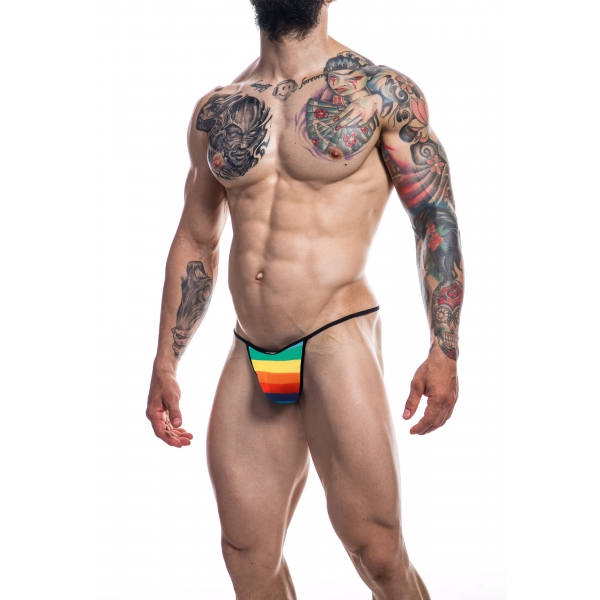 Rainbow Briefkini calzoncillos sexy