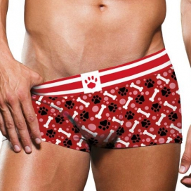 Prowler Underwear Boxer Puppy Prowler Rojo