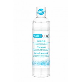 Waterglide Cool Mint 300mL Lubricant