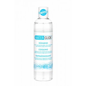 Water Glide Waterglide Cool Mint 300mL Lubricant