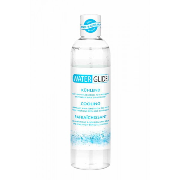 Gleitmittel Wasser Waterglide Cool Mint 300mL