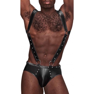 male power Bottomless and Uranus Male Power Harness