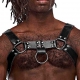 Aries Male Power Harness