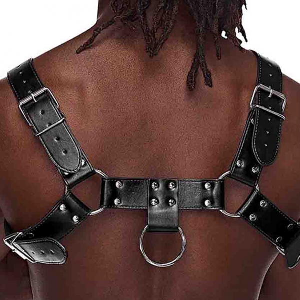 Aries Male Power Harness