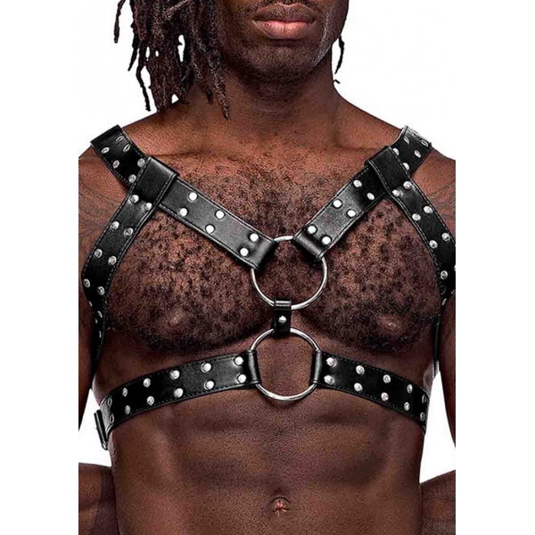 Gemini Male Power Harness