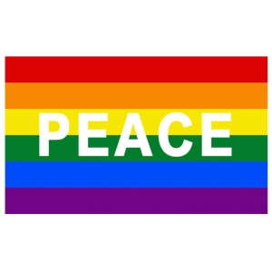 D700 Love & Peace Gay Pride Flag 006 60cmx90cm