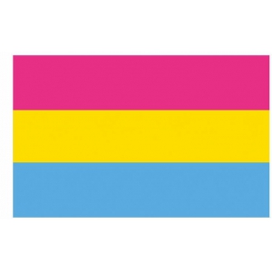 Pansexuele vlag 90 x 150cm