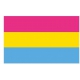 Bandera pansexual 90 x 150 cm