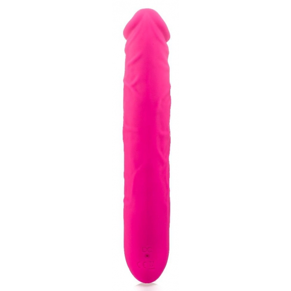 De Roze Vibrerende Dildo 17 x 3,6cm Roze