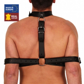 The Red Leather Bondage and Arm Restraint Collar