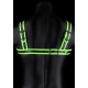 Glow Strike Harness Black