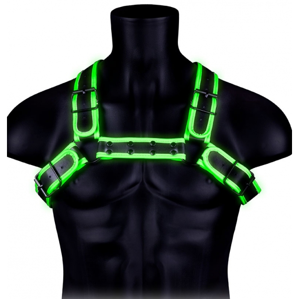 Glow Buckle Harness Black