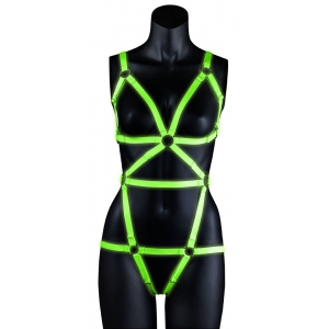 Ouch! Glow Phosphoreszierendes Geschirr Full Harness Glow