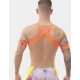 Leonsh Orange Neon elastic harness