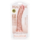 Curved Realistic Dildo with Suction Cup - 7''/ 18 cm