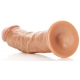 Realistic Curved Dildo Dildo 18 x 4.2cm Latino