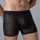 LEOPARD Allure Boxer in pizzo nero