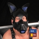 Echtes Leder Maske PUPPY Blau