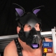 Echtes Leder Maske PUPPY Lila