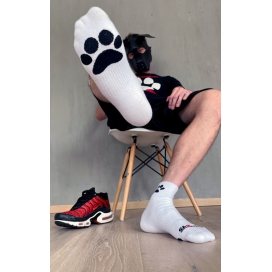 Witte Puppy Sk8erboy Sokken