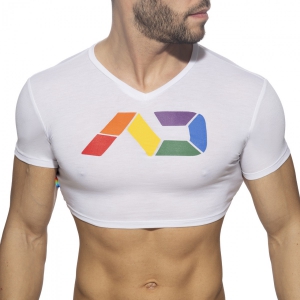 Addicted RAINBOW Addicted Crop Top