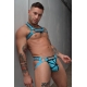 Hex Bulldog Breedwell Blue Harness