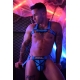 Hex Bulldog Breedwell Blue Harness