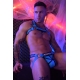 Hex Bulldog Breedwell Blue Harness