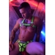 HEX BULLDOG HARNES NEON GREEN