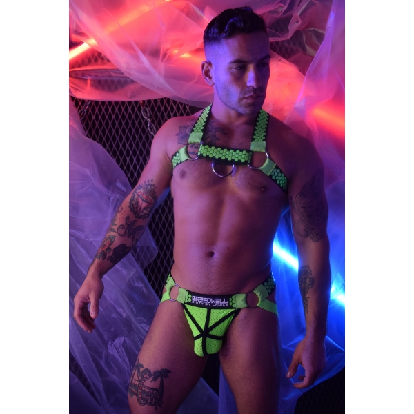 Hex Bulldog Breedwell Arnês Verde Neon