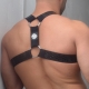 Hex Bulldog Breedwell Harness Black