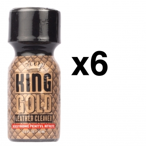 BGP Leather Cleaner KING GOLD PENTYL 15ml x6