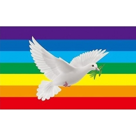 D700 Love & Peace Gay Pride Flag  005 90*150