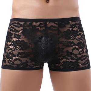 NoGenderWear Joao Lace Boxer Brief Preto