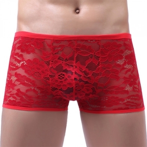 NoGenderWear Attractive Lace Gay Low-waist Boxers Men Shorts RED