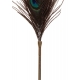 Tickle Peacock Taboom 42cm