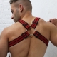 Body Hybred Breedwell Harness Red