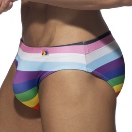 Inclusive Rainbow swim trunks