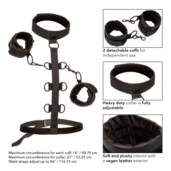 Sm Halsband Lichaamsbeperking Grenzeloze banden