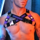 DAYCRAWLER HARNESS Purple