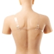 Breast prosthesis with straps C cup