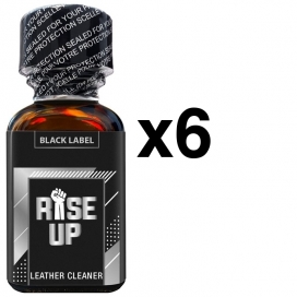 FL Leather Cleaner RISE UP BLACK LABEL 25ml x6