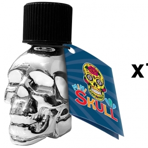 FL Leather Cleaner MINI SKULL QUICK PLATA 15ml x144