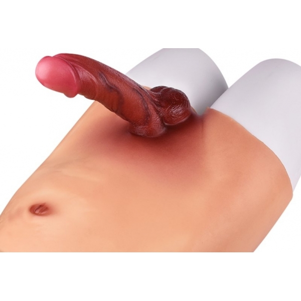 Realistische Penisprothese 17 x 4cm