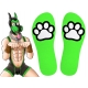 Chaussettes PAW Kinky Puppy Vert