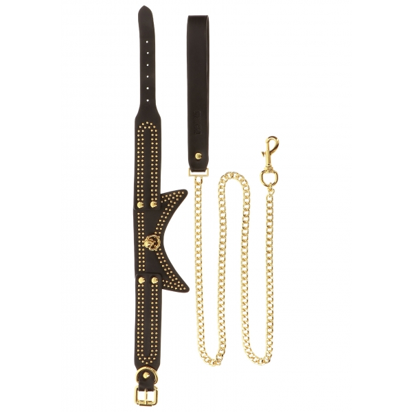 Studded Vogue Black Collar and Lead