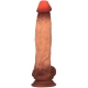 Dildo realista Toto Graddy 20 x 4,5 cm