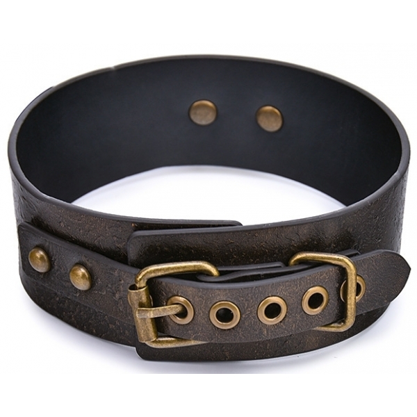 Vintage Style Collar with Leash