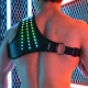 Soundwave Synergy Breedwell light harness