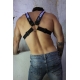 Soundwave Light Harness Cross Breedwell